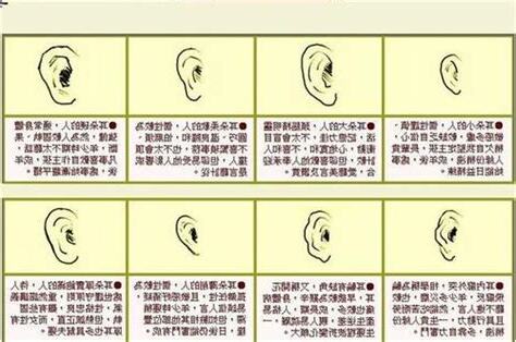 大耳垂 面相